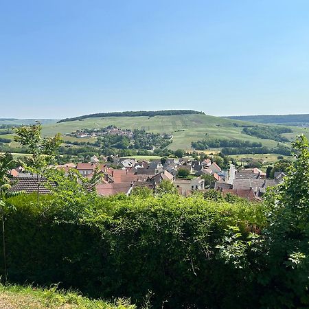 Villa Chez Brigitte Châtillon-sur-Marne Esterno foto