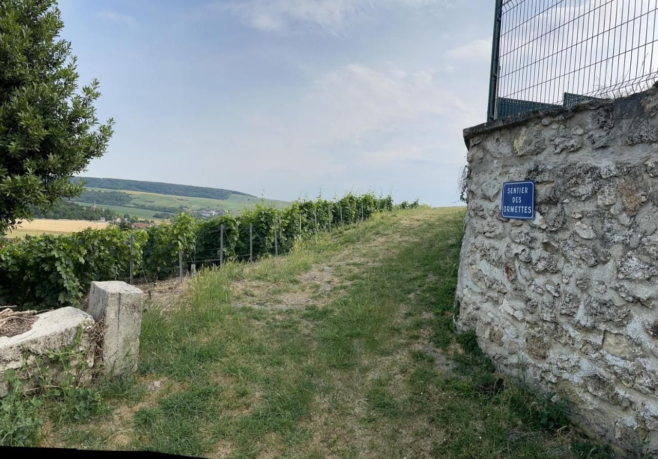 Villa Chez Brigitte Châtillon-sur-Marne Esterno foto